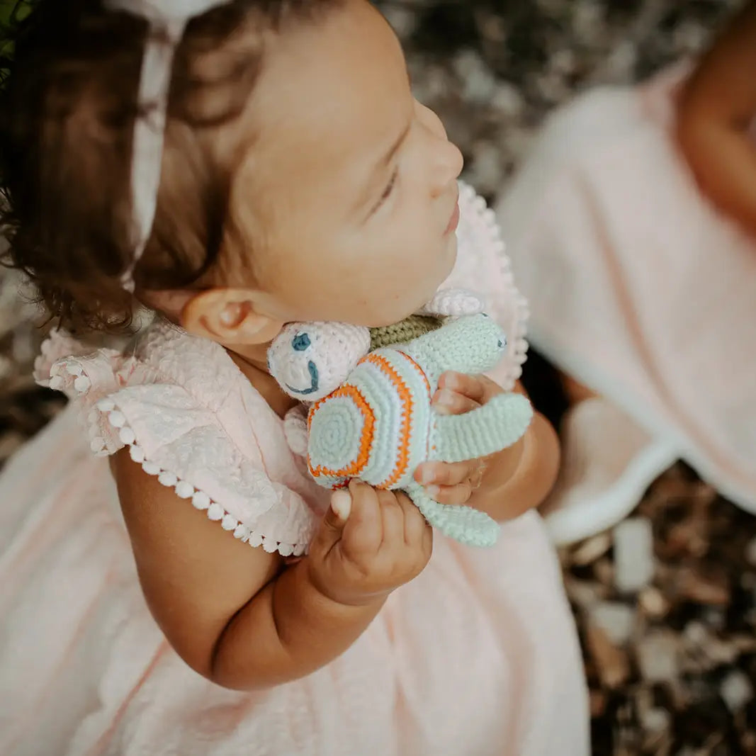 Rassel Schildkröte Pebblechild Sommer