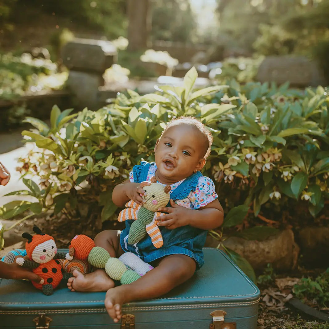 Rassel Libelle Herbst