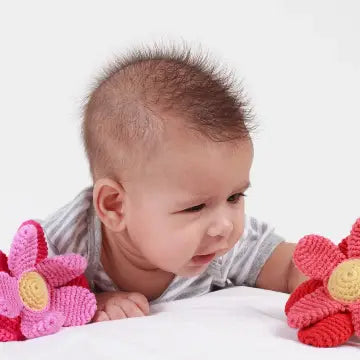 Rassel Blume Tulpe Sommer